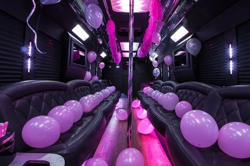 party bus rental for birthday party bus rental for birthday